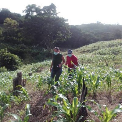 PROYECTO-3-11