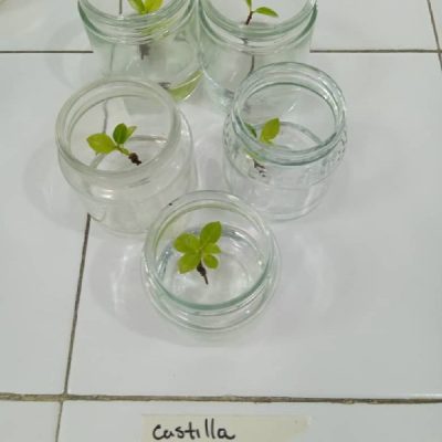 PROYECTO-4-5